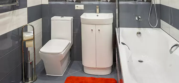 Hansgrohe Shaving Mirror Cathedral City